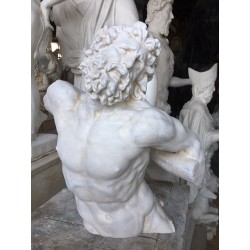 RID 101 Torso Laocoonte h. cm. 50