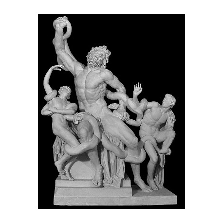 LS 332 Laocoonte h. cm. 242