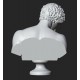LB 471 Antinoo Capitolino h. cm. 75
