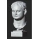 LB 463 Testa Tito Imperatore Romano h. cm. 54
