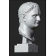 LB 463 Testa Tito Imperatore Romano h. cm. 54