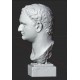 LB 463 Testa Tito Imperatore Romano h. cm. 54