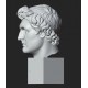 LB 462 Attalus King of Pergamon h. cm. 62
