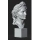 LB 477 Busto Veronica Micle h. cm. 60