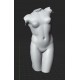 RID 110 Torso Venere dell'Esquilino h. cm. 50
