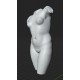 RID 110 Torso Venere dell'Esquilino h. cm. 50