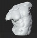 RID 106 Torso Gaddi - Uffizi h. cm. 50