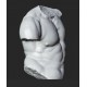 RID 106 Torso Gaddi - Uffizi h. cm. 50