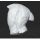 RID 106 Torso Gaddi - Uffizi h. cm. 50