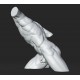 RID 108 Torso Gladiatore Borghese h. cm. 50