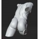 RID 108 Torso Gladiatore Borghese h. cm. 50
