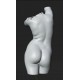 RID 109 Torso Musa h. cm. 55