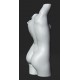RID 109 Torso Musa h. cm. 55