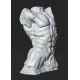 RID 104 Torso Uomo - Museo Rodin h. cm. 50
