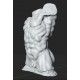 RID 104 Torso Uomo - Museo Rodin h. cm. 50