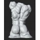 RID 104 Torso Uomo - Museo Rodin h. cm. 50