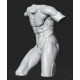 RID 103 Torso Fauno Danzante senza testa h. cm. 50