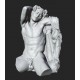 RID 105 Torso Fauno Barberini h. cm. 50