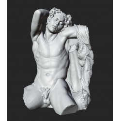 RID 105 Torso Fauno Barberini h. cm. 50