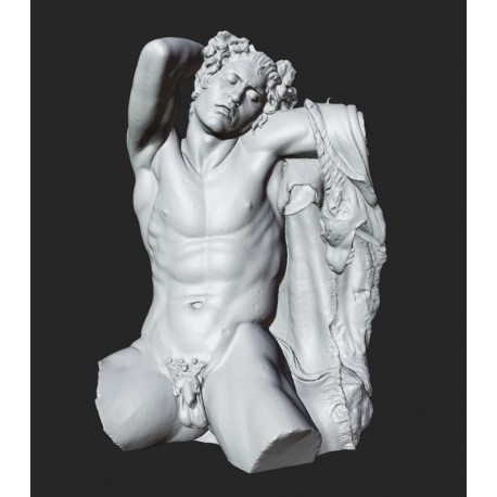 RID 105 Torso Fauno Barberini h. cm. 50