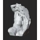 RID 105 Torso Fauno Barberini h. cm. 50