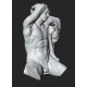 RID 105 Torso Fauno Barberini h. cm. 50