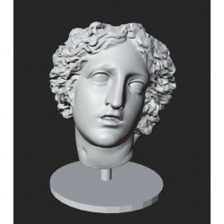 LB 424 Testa Dyonysus  h. cm. 40