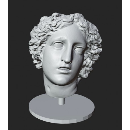 LB 424 Testa Dyonysus  h. cm. 40