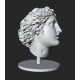 LB 424 Testa Dyonysus  h. cm. 40