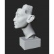 LB 428 Testa Regina Nefertiti h. cm. 50