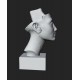 LB 428 Testa Regina Nefertiti h. cm. 50