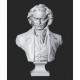 LB 442 Busto Beethoven h. cm. 65