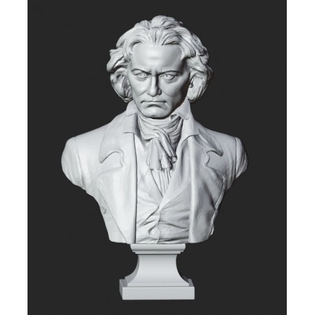 LB 442 Busto Beethoven h. cm. 65