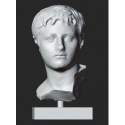 LB 443 Busto Drusus the Elder h. cm. 50