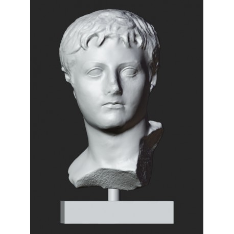 LB 443 Busto Drusus the Elder h. cm. 50