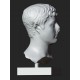 LB 443 Busto Drusus the Elder h. cm. 50