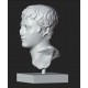 LB 443 Busto Drusus the Elder h. cm. 50