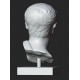 LB 443 Busto Drusus the Elder h. cm. 50