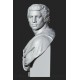 LB 444 Busto Brutus di Michelangelo h. cm. 62