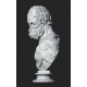 LB 445 Busto Hercules con basetta h. cm. 72