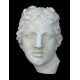 LM 29 Maschera Venere dei Medici h. cm. 24x16