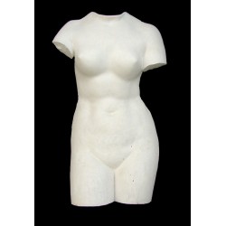 LA 4 Torso anteriore Venere dei Medici h. cm. 70