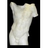 LA 26 Torso anteriore Hermes h. cm. 90