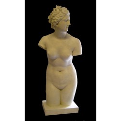 LA 9 Venere dei Medici torso h cm. 103