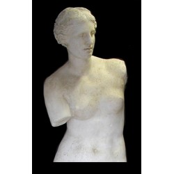 LA 15 Torso Venere di Milo h. cm. 85