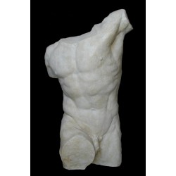 LA 37 Torso anteriore Gladiatore Borghese h. cm. 98