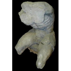 LS 133 Torso del Belvedere h. cm. 115