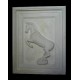 LR 133 Cavallino rampante h. cm. 109x86