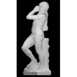 LS 373 David Apollo di Michelangelo h. cm. 146