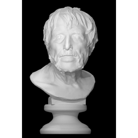 LB 235 Pseudo Seneca (Museo Archeologico Nazionale di Napoli) h. cm. 59